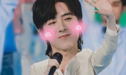 刘宇宁爆料结婚视频,视频记录幸福时刻