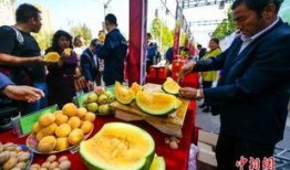 武汉爆料最新吃瓜新闻,吃瓜群众聚焦神秘事件，真相即将揭晓